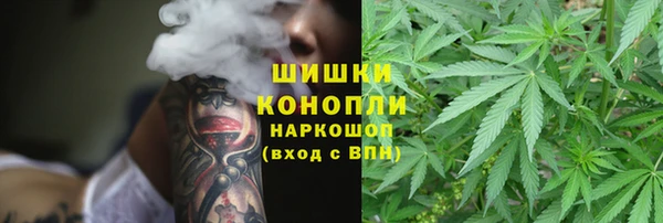 прущий лед Надым