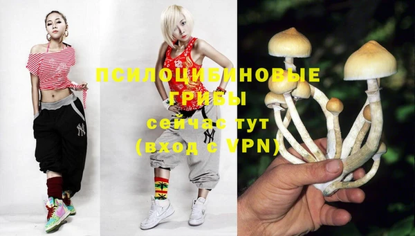 прущая мука Навашино