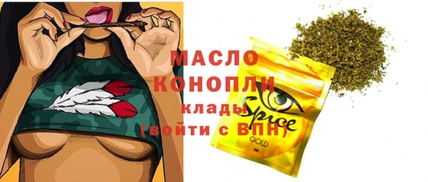 spice Ельня