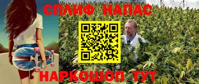 шишки Ирбит