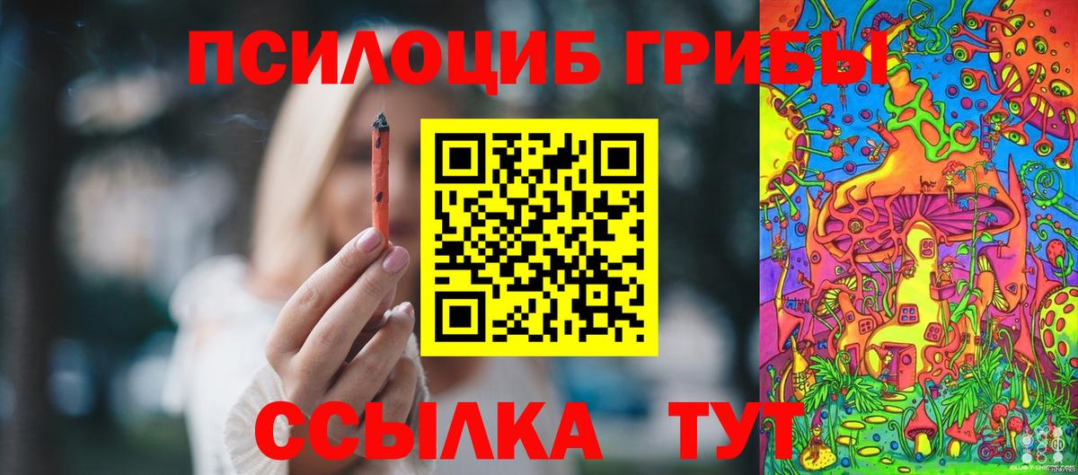Псилоцибиновые грибы Cubensis Геленджик
