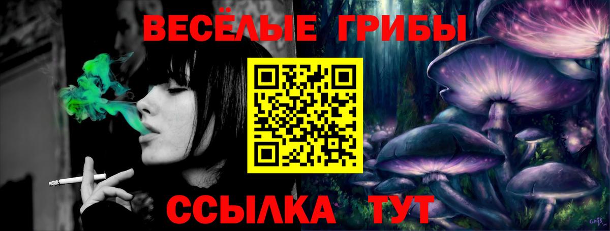 Галлюциногенные грибы Magic Shrooms  Галлюциногенные грибы мицелий  Геленджик  Вход с VPN 
