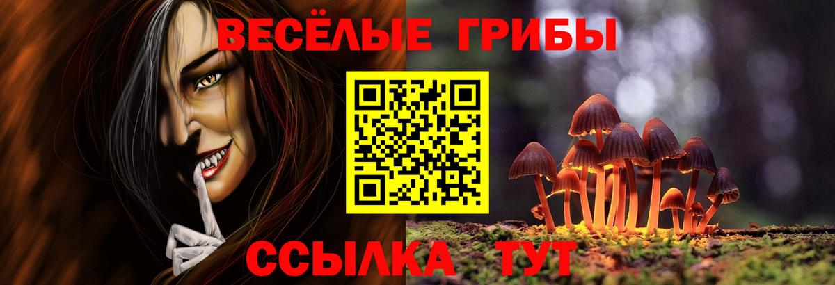Псилоцибиновые грибы Magic Shrooms  Геленджик  закладки  Галлюциногенные грибы Psilocybe 